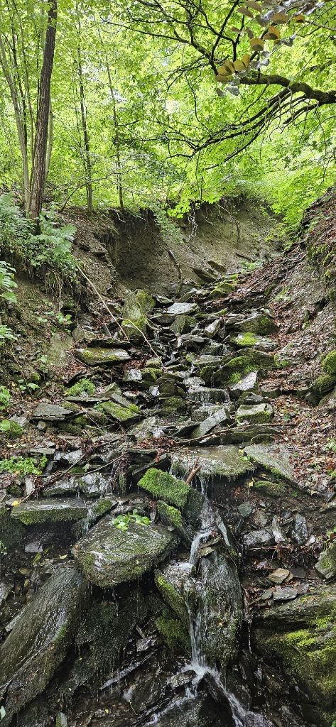 Sat Aug 23 11:46:29 AM CEST 2025